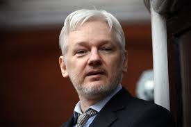 Image result for julian assange