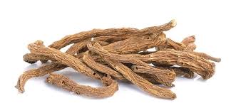 Attēlu rezultāti vaicājumam “Angelica archangelica fruit”