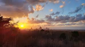 Image result for Octopushy (Croydon Area)