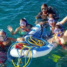 Image result for Looe Diving Club