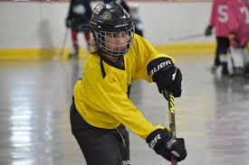 Image result for Halifax Roller Hockey Club