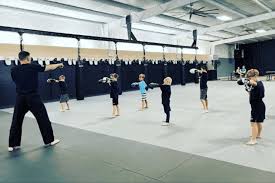 Image result for Precision MMA Mixed Martial Arts Training