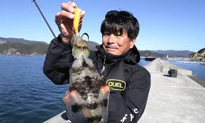 「ダークアイ・Ｑ」の画像検索結果