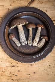 Attēlu rezultāti vaicājumam “Leccinum scabrum”