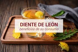 Image result for diente de leon