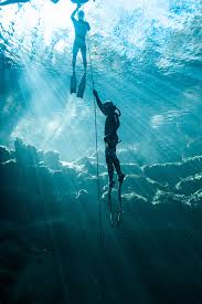 Image result for Blue Water Diving
