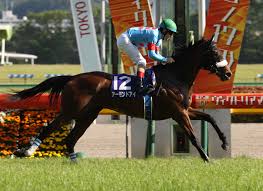 Image result for Almond Riding Club