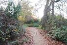 Target Hill is adjacent to Buchan Country Park. This site, formerly a refuse - via Daymix