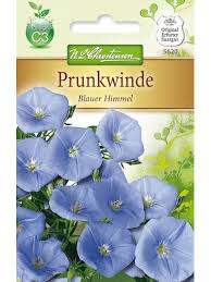 Image result for Prunkwinde