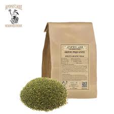 Attēlu rezultāti vaicājumam “Urtica dioica fruit”