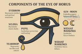 Image result for Horusauge