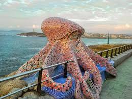 Image result for octopus in a basque