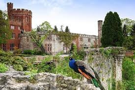 Image result for Ruthin Lawn Tennis Club