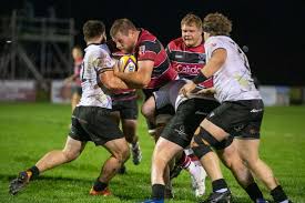Image result for Stirling Wolves
