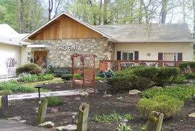 Image result for Derby Phoenix Swimming Club