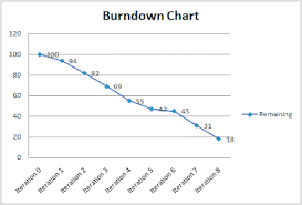 Image result for burnup chart