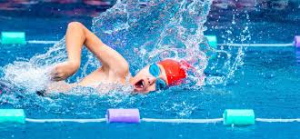 Image result for Kingsbridge Kingfishers Swimming Club