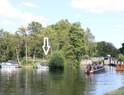 Image result for Kingfisher Canoe Club