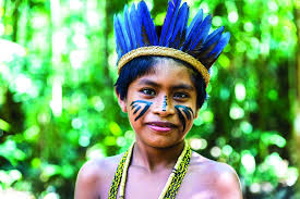 Image result for tribe