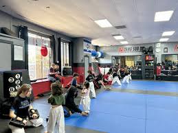 Image result for America's Best Karate Chandler
