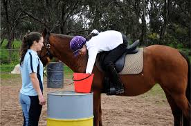 Image result for Riding For The Disabled Association