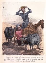 Image result for bacía