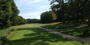 Image result for Brokenhurst Manor Golf Club