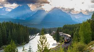 Résultat de recherche d'images pour "morant's curve"