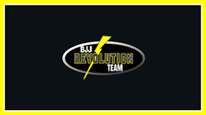 Image result for Revolution Dojo