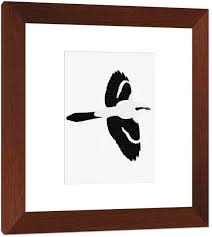 Attēlu rezultāti vaicājumam “Lanius excubitor adult”