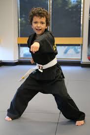 Image result for INTERNATIONAL HAPKIDO TAMWORTH