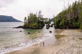 Image result for *X68CHer|http://www.bcpark.net/bbs/317697