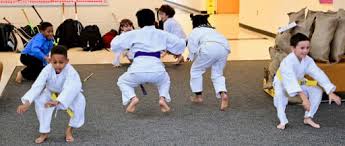 Image result for Norfolk Karate