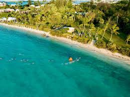 Image result for Cambridge Triathlon Club