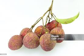 Image result for Litchi chinensis