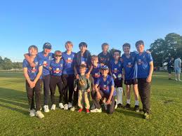 Image result for Tynedale Cricket Club
