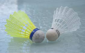 Image result for Market Harborough badminton Club