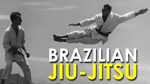Image result for Brazilian-martial arts