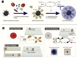Attēlu rezultāti vaicājumam “Dianema depressum plasmodium”