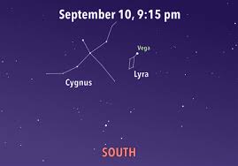 Attēlu rezultāti vaicājumam “Cygnus cygnus”