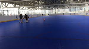 Image result for York Railway Institute Amateurs Bowling Club