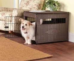 Puppy to Crate Coaching   Learn how to Train Canines