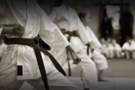 Image result for British Karate Shunen Jutsu