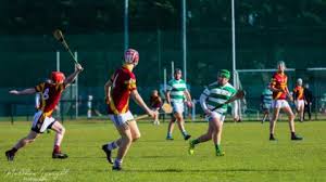 Image result for Causeway Hurling Club
