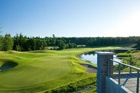 Image result for White Horse Kite Fliers Club