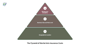 Image result for Pyramid martial arts