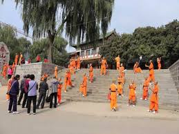 Image result for Shaolin Ancestors kung Fu School