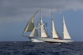 Image result for Xarifa