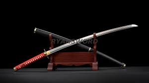 Image result for Ronin Yudansha Ryu
