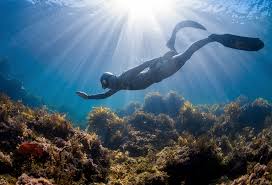 Image result for Apneists UK